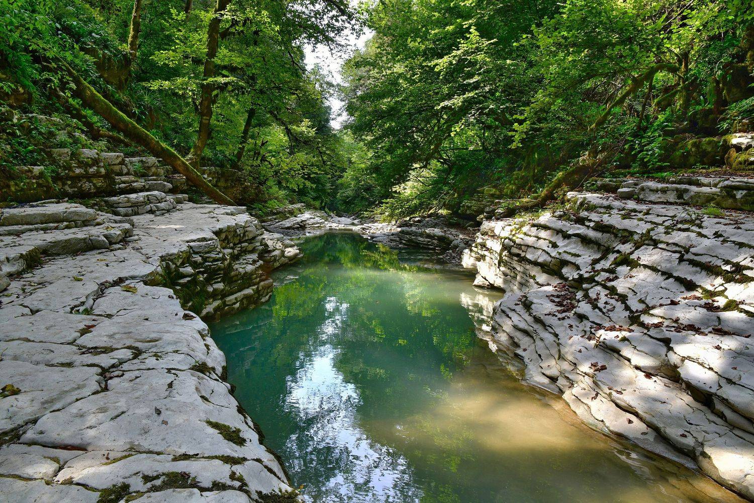 Каньон реки Псахо. Автор: Наталия Щербина пейзаж, природа, каньон, путешествие, Наталия Щербина