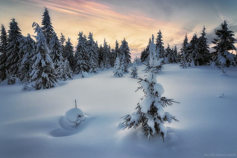 Типичный зимний пейзажphoto preview