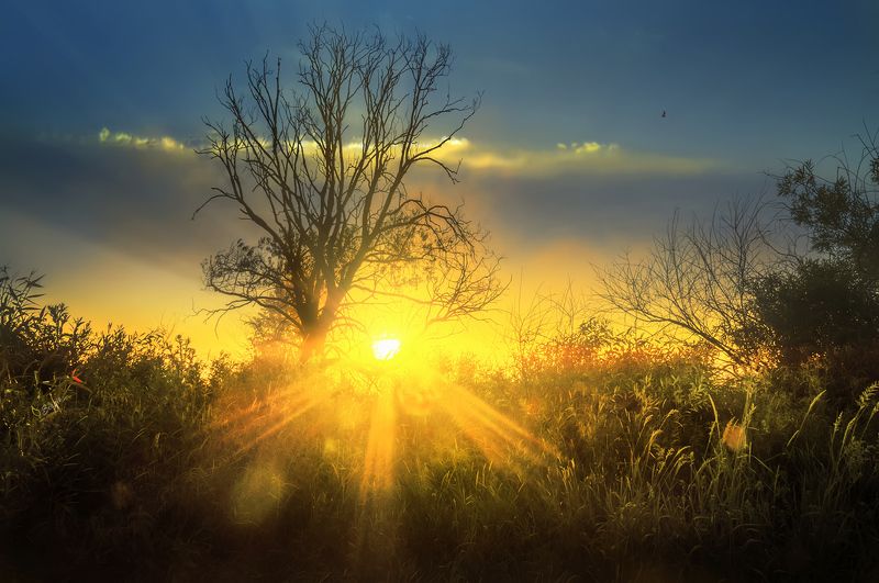 Беларусь Солнце светит всем одинаковоphoto preview