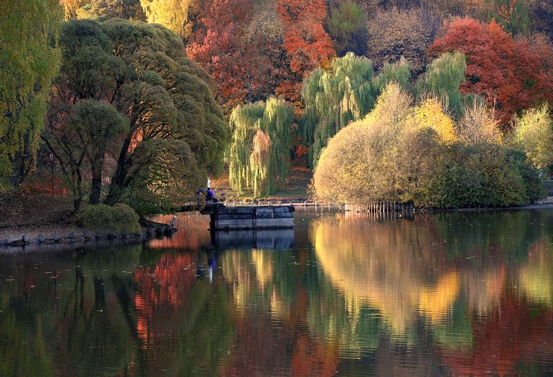 парк,осень,пруд,царицыно краски осени фото превью