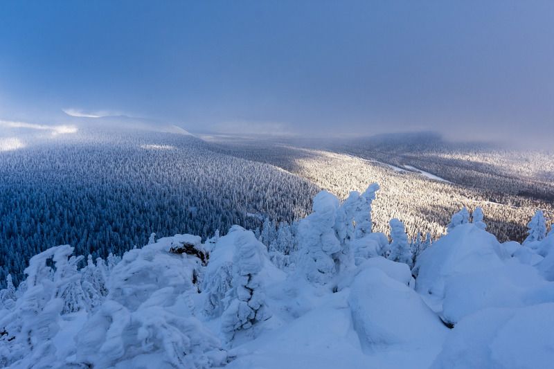 *******photo preview