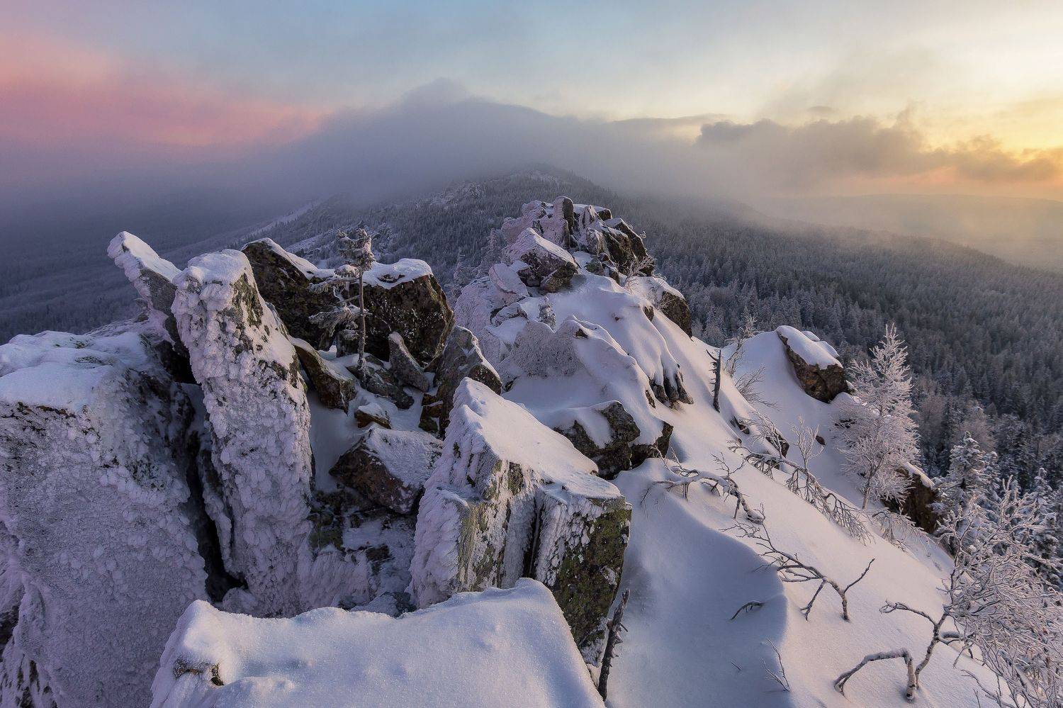 *******. Автор: Андрей Шарапов , Андрей Шарапов