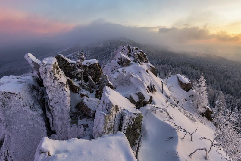 *******photo preview