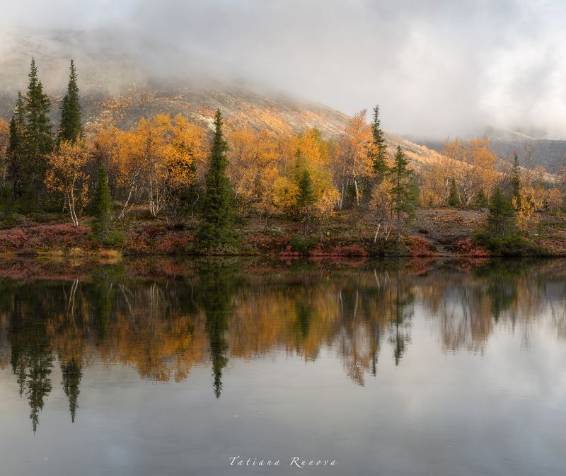 Осенняя акварельphoto preview