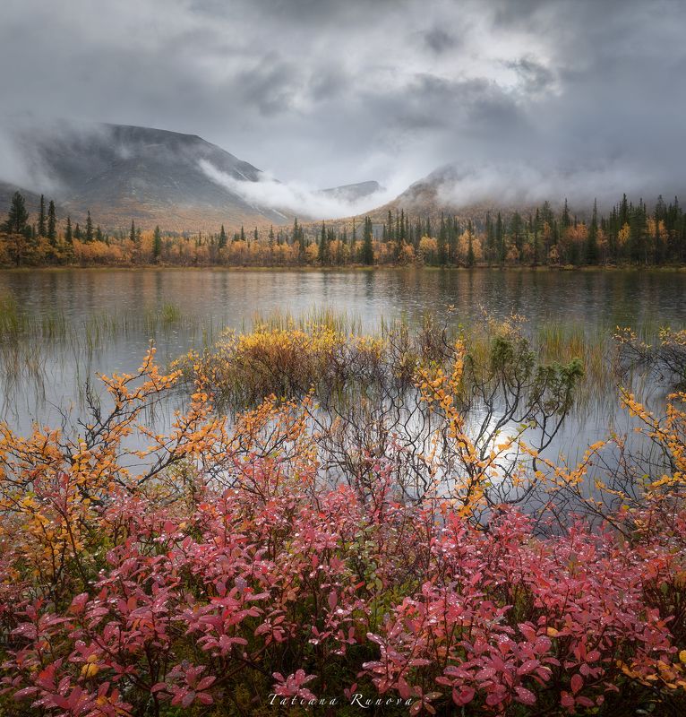 Краски дождяphoto preview