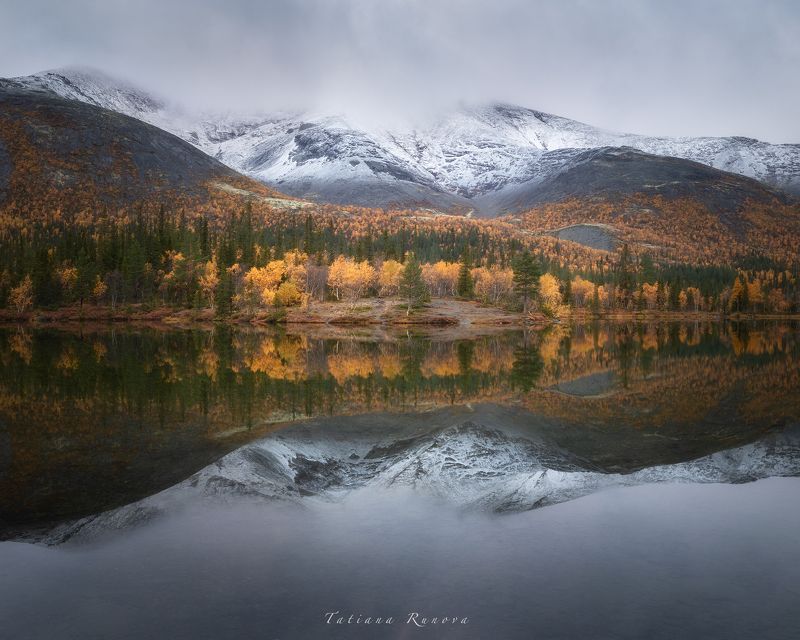 Отражениеphoto preview