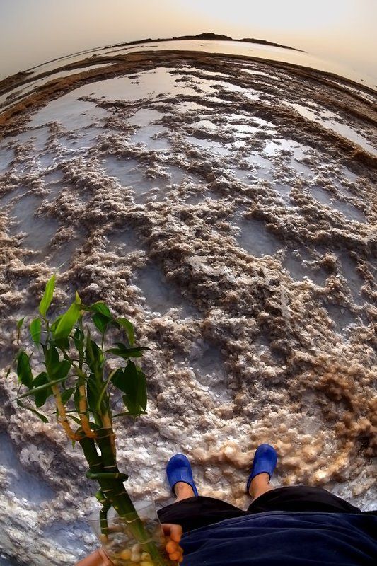 Маленький принцphoto preview