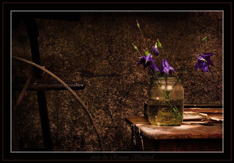 Одиночество...photo preview