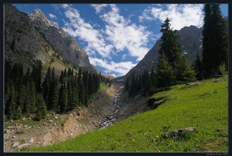 природа,горы,лето,ущелье,лес,цветы,скалы,деревья,трава,облака,река,елки В горы пришло летоphoto preview