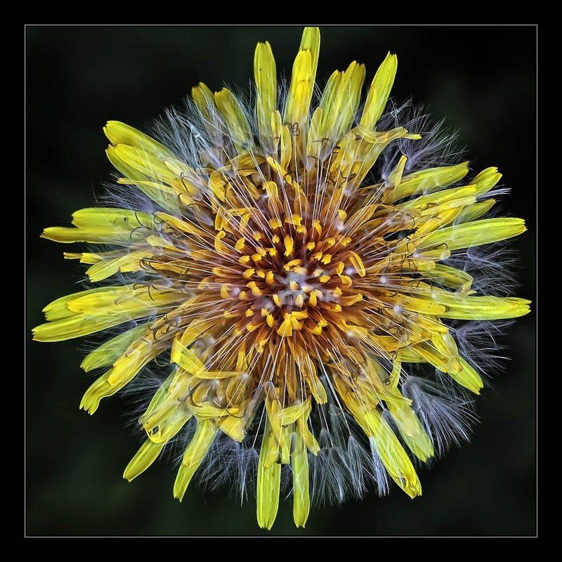 До и пслеphoto preview