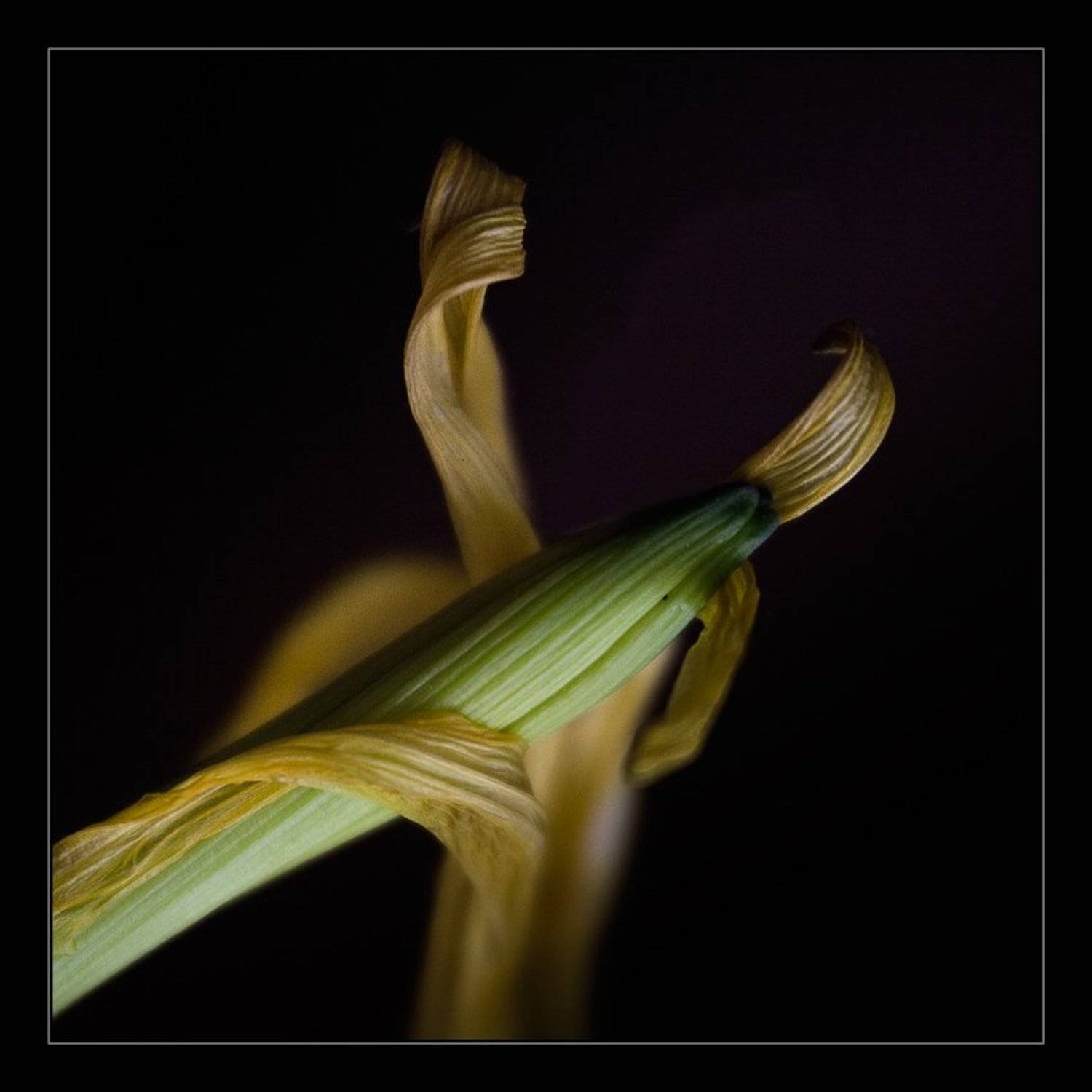 Любовь. Автор: Сергей Милицкий , Сергей Милицкий