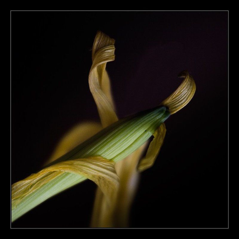 Любовьphoto preview