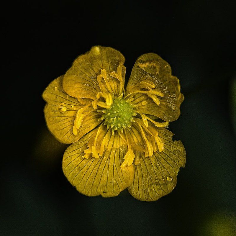 Не первая молодостьphoto preview