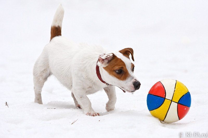 Ой! Что это?photo preview