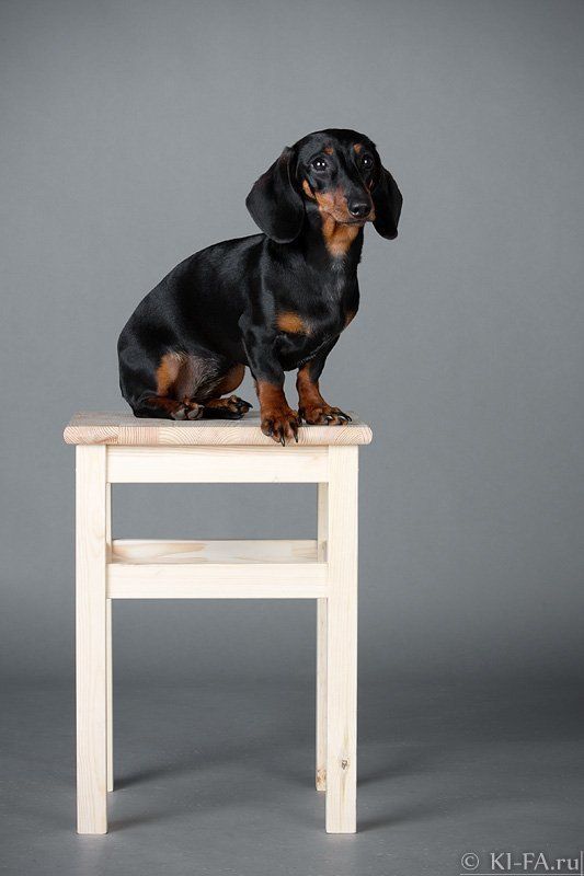 Табуреткаphoto preview