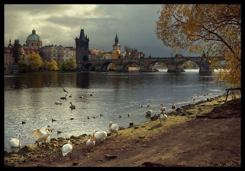 Praga #1photo preview