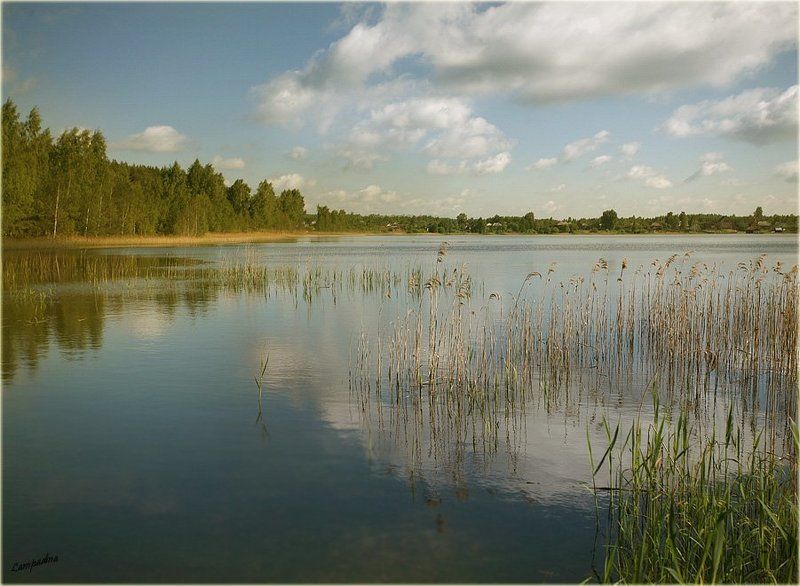 Озеро Белое фото превью