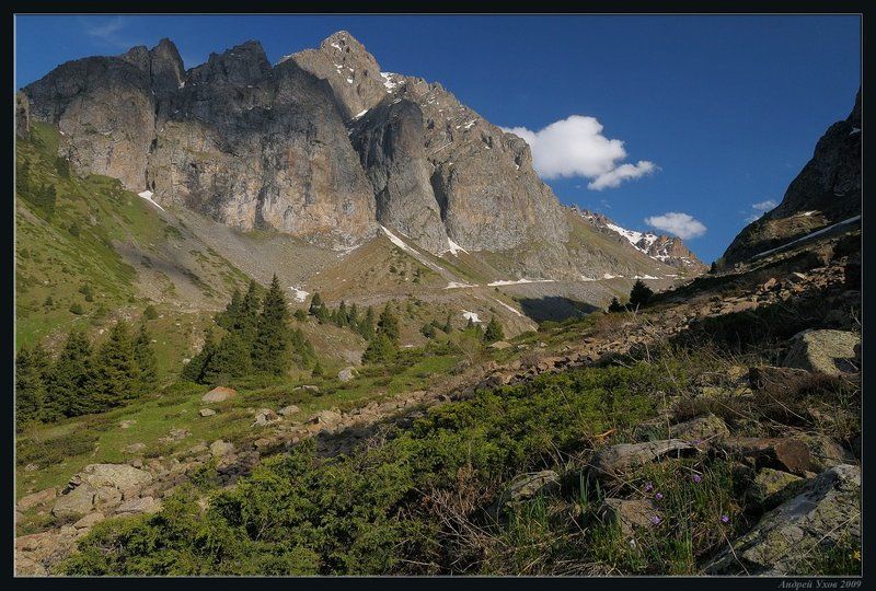 природа,горы,лето,ущелье,лес,цветы,скалы,деревья,трава,облака,река,елки Дорога к ледникамphoto preview