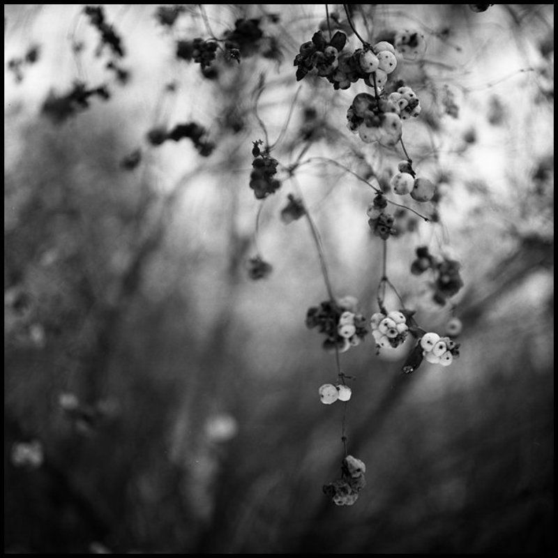 Замерзшиеphoto preview