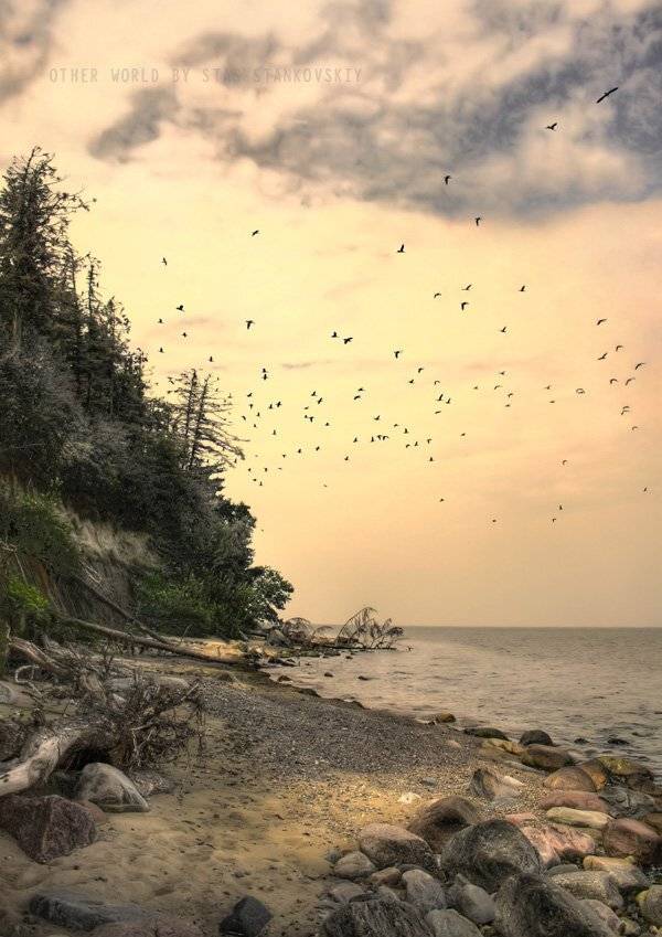 , Станислав Станьковский