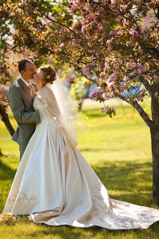 * * * фото превью