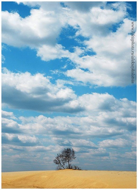 банальностьphoto preview