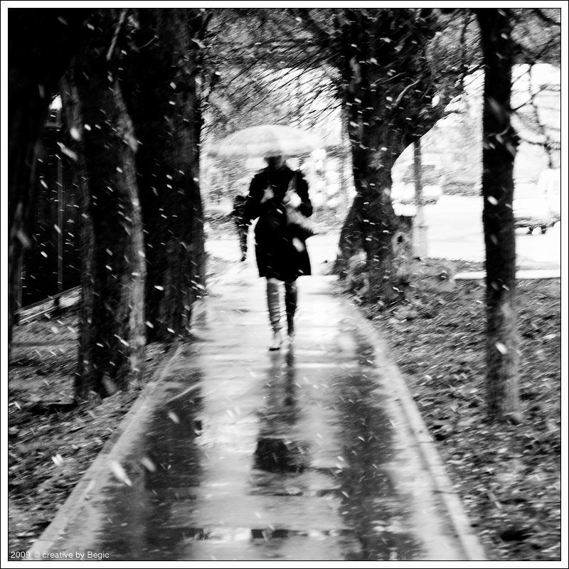 снежный день, чб Один снежный деньphoto preview