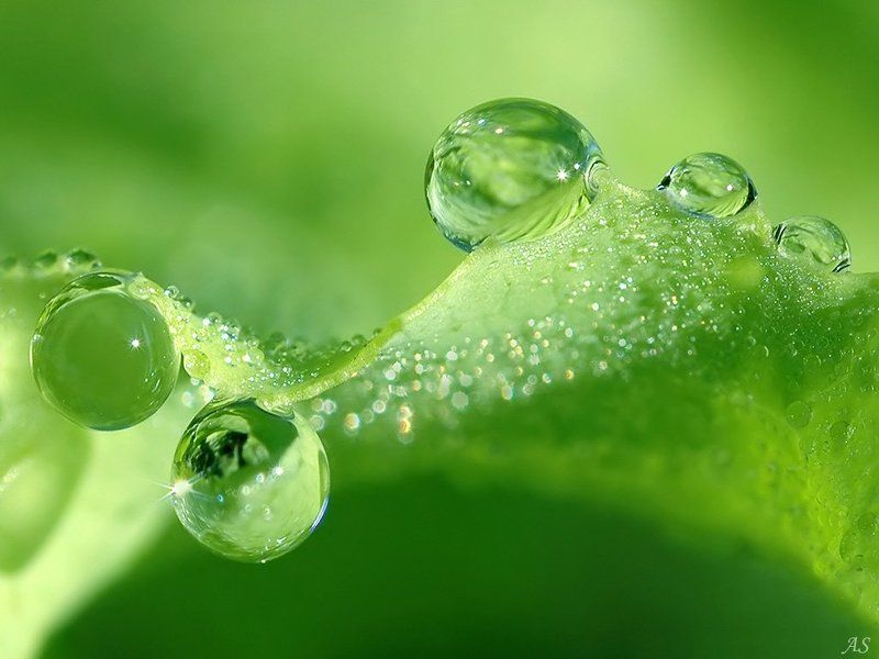 фото, радость, выставка Приглашаю на свою фотовыставку!photo preview