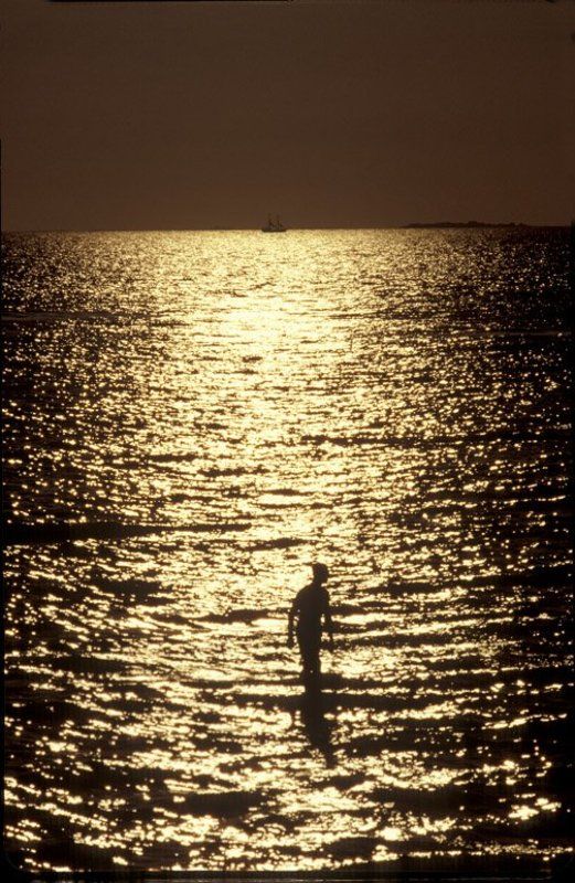 ,фотоплёнка,негатив Ихтиандр.photo preview