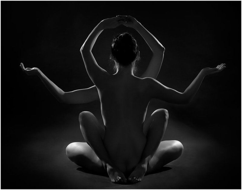 бутон Лотосаphoto preview