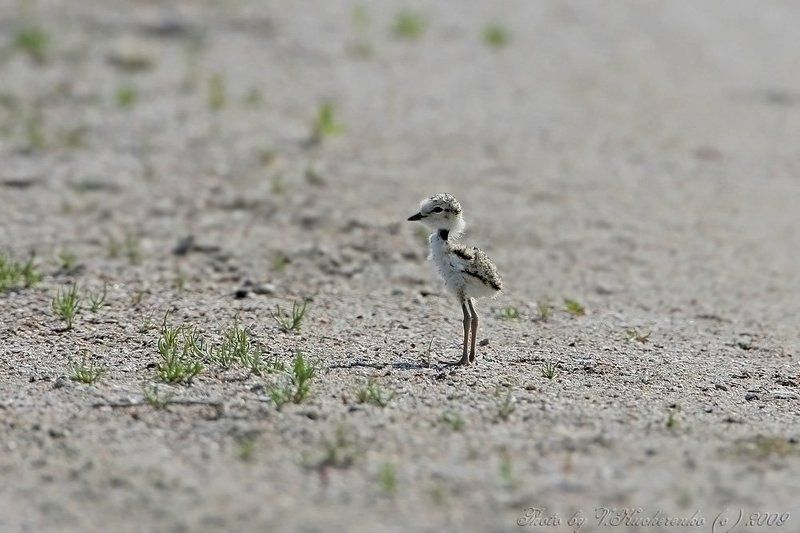 Дитяphoto preview