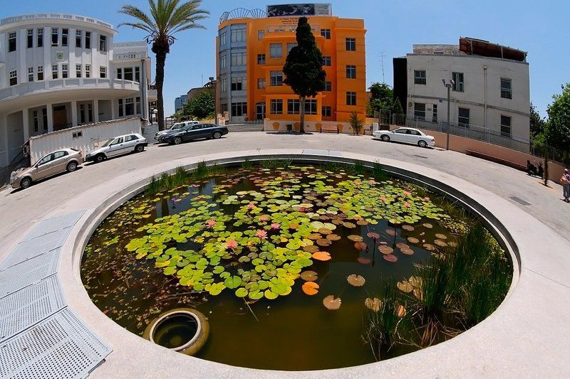 Маленькое болотце, приятное во всех отношенияхphoto preview