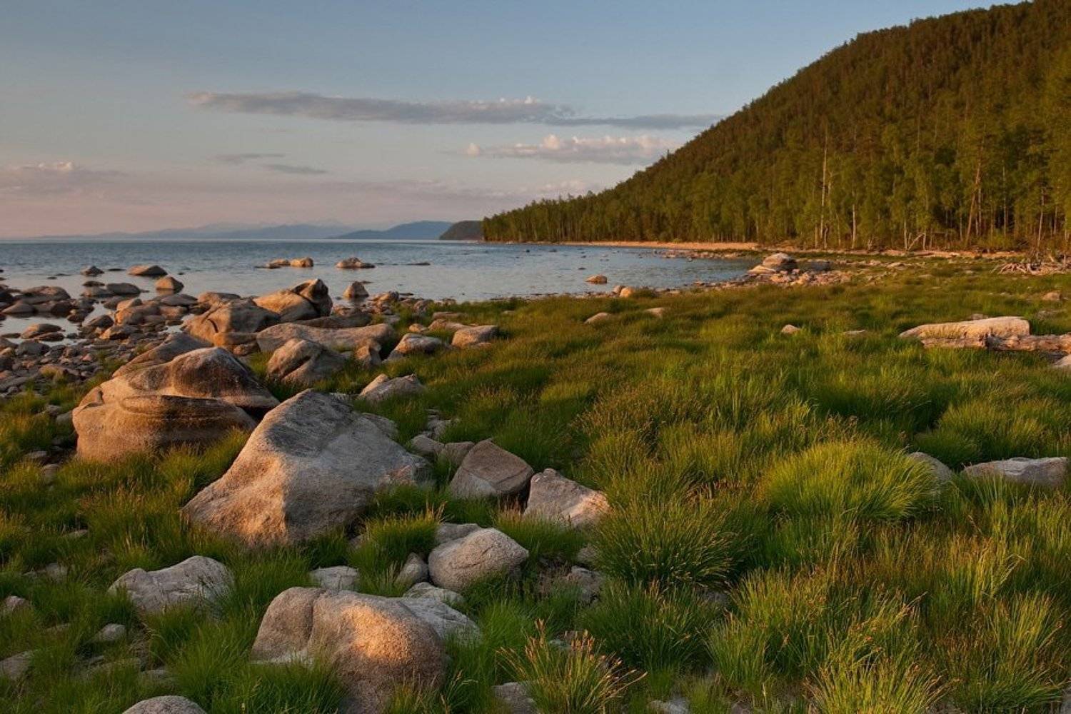 бурятия, байкал, максимиха, трава, камни, вечер, Олег Шубаров