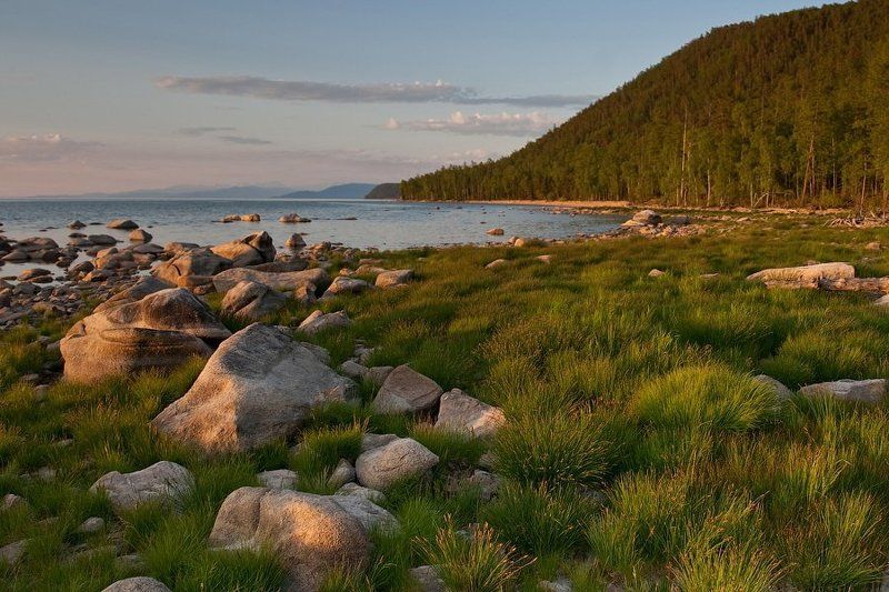 бурятия, байкал, максимиха, трава, камни, вечер photo preview