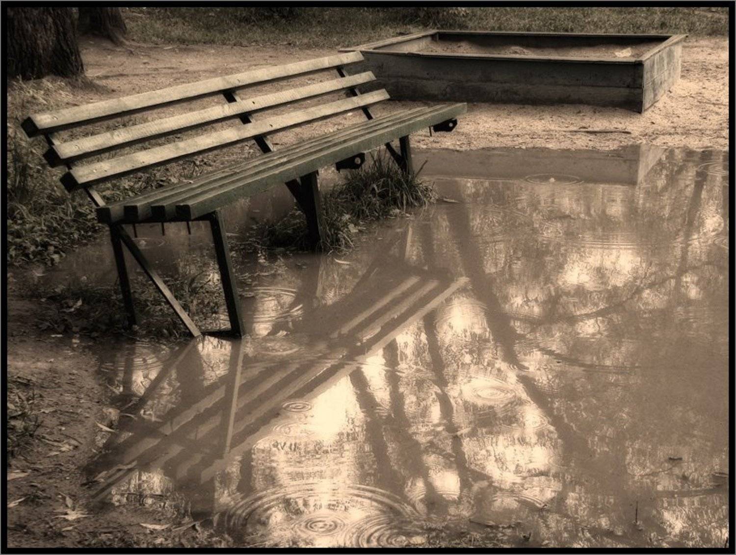 , Лунный Ежик