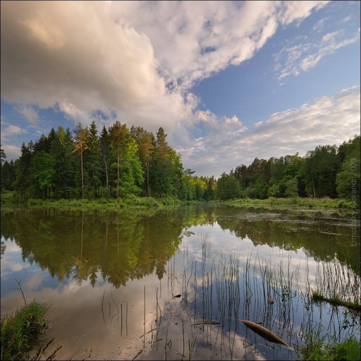 , Александр Ермолицкий