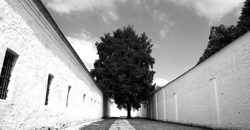 дерево, тропа, тюрьма, солнце, небо &&photo preview