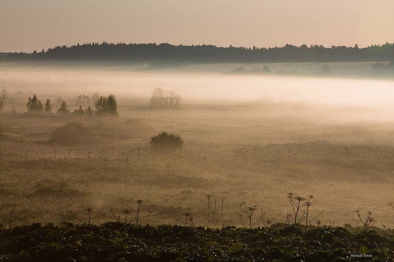 день очистки водоемов, туман Ёжик и Туман...photo preview