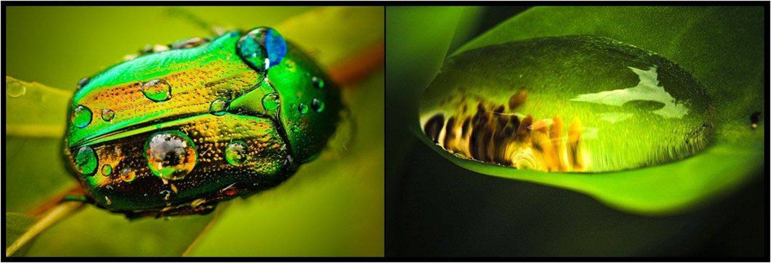 точки зрения. 1. Автор: DELIBASH , DELIBASH