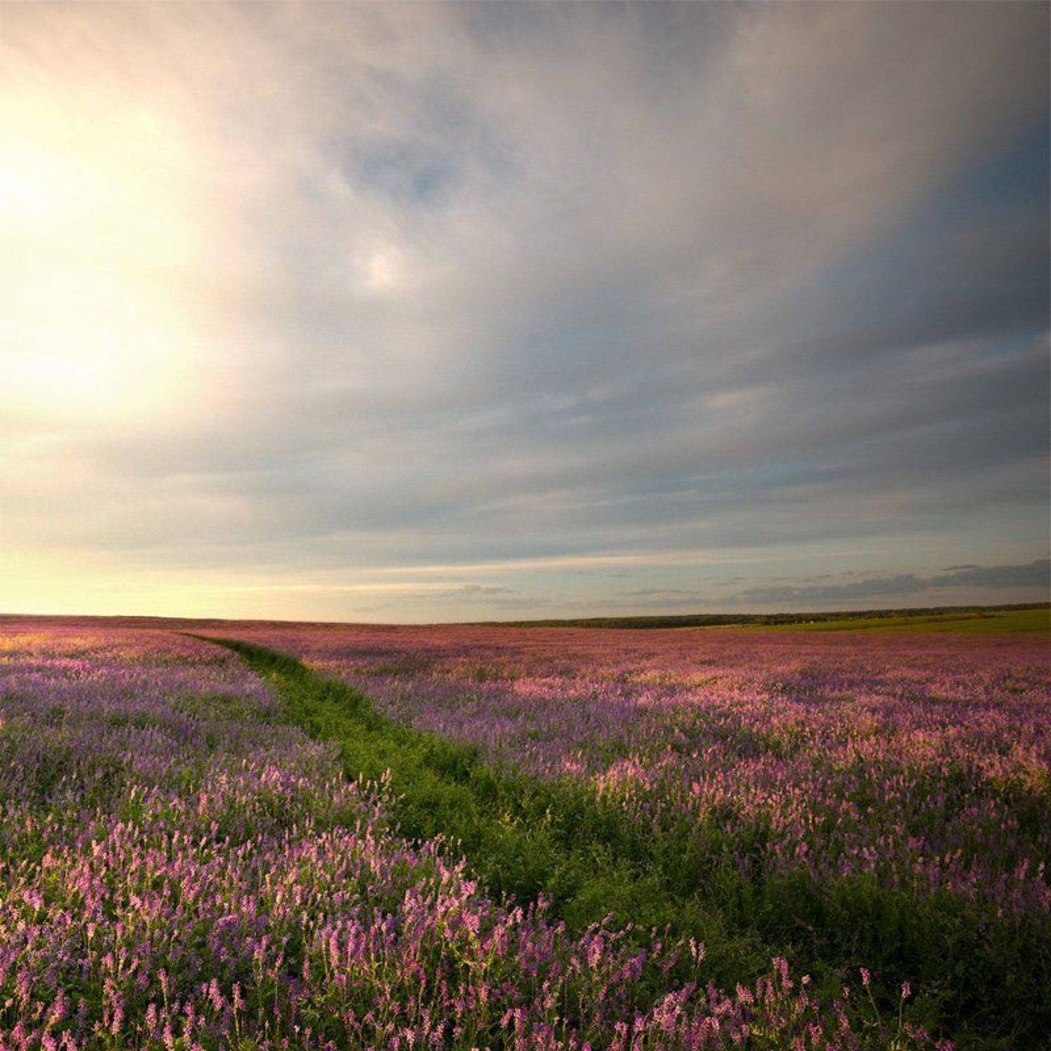 , Александр Дубовицкий