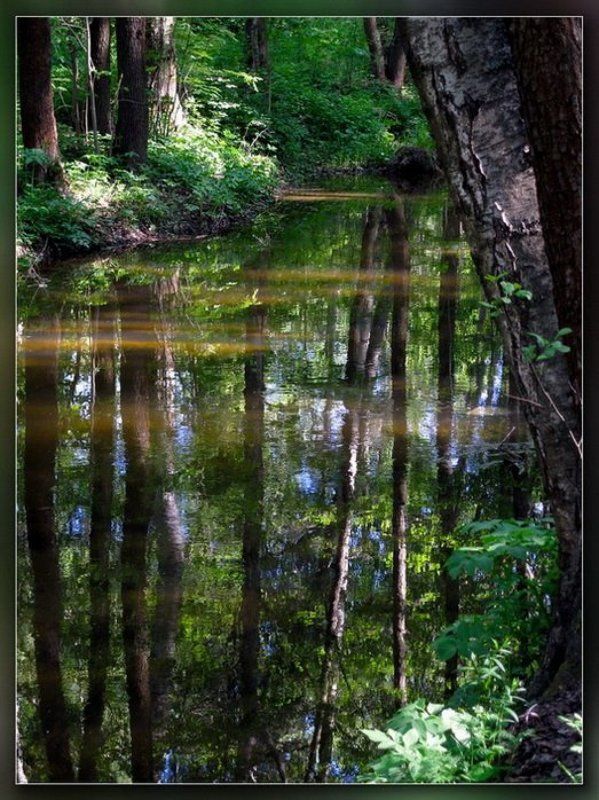 петергоф,ручей,отражение Канавка #3photo preview