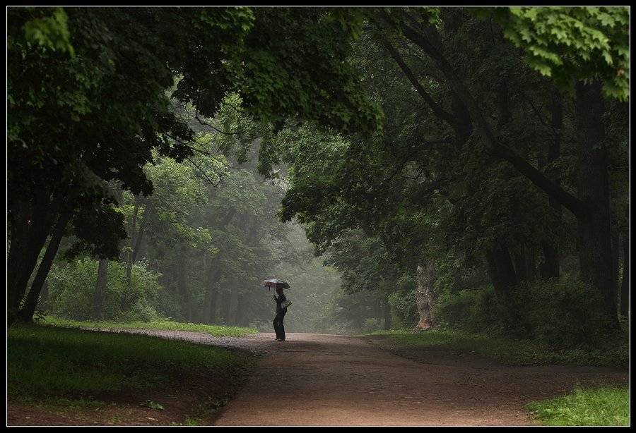 ***. Автор: Lilia Tkachenko , Lilia Tkachenko