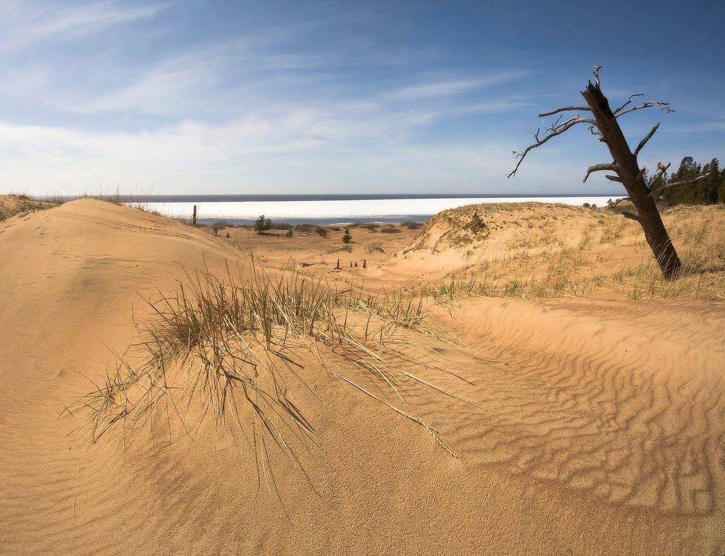 ПОЛЕ БЕЛОГО ХОЛОДА.... Автор: Yuri Ovchinnikov , Yuri Ovchinnikov