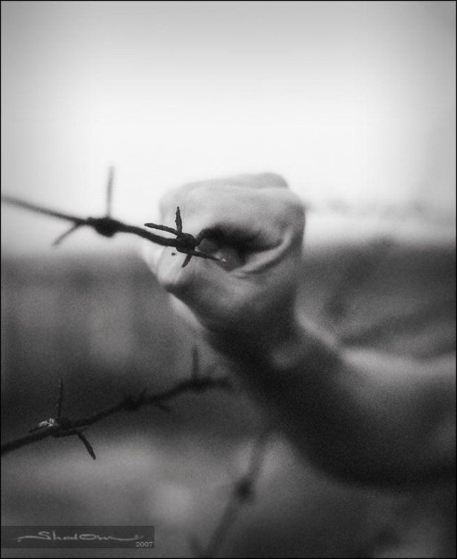 shd, www.shad0w.ru photo preview