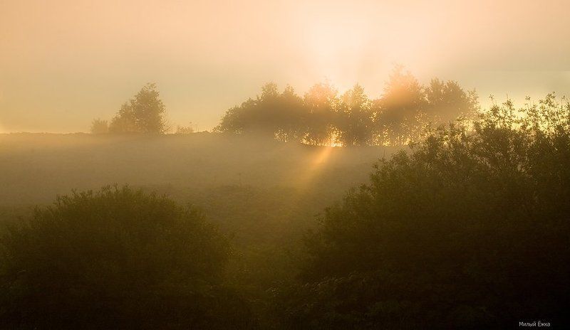день очистки водоемов, туман Каждый луч дрожит пробуждением...photo preview