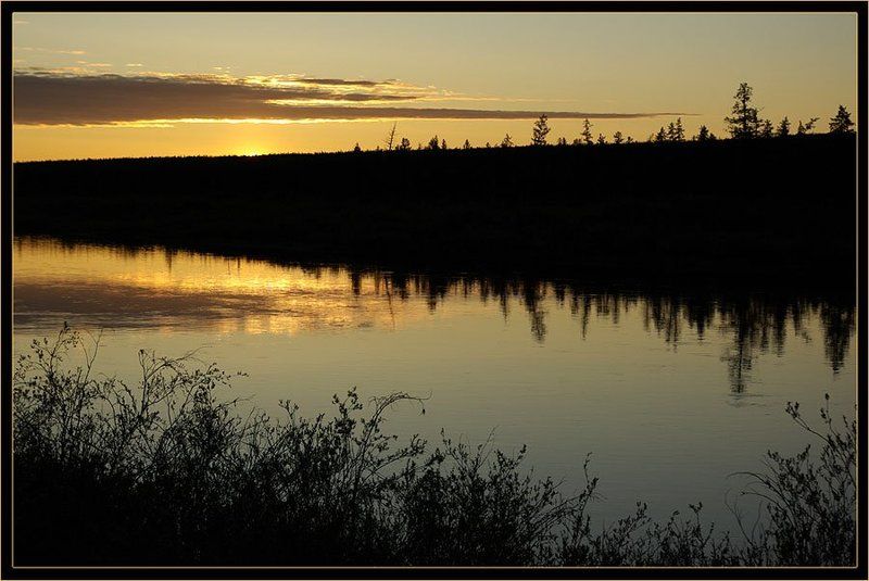 река, ночь, тайга, якутия Белая ночьphoto preview