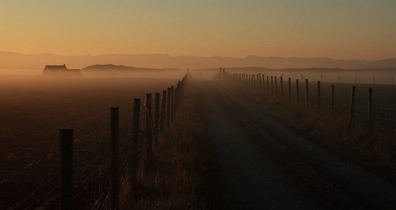 туман, рассвет на рассветеphoto preview