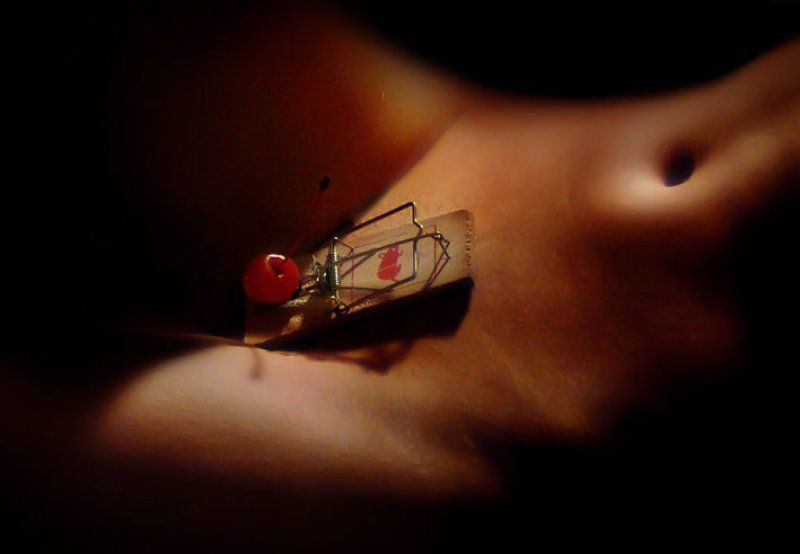 сезон охотыphoto preview