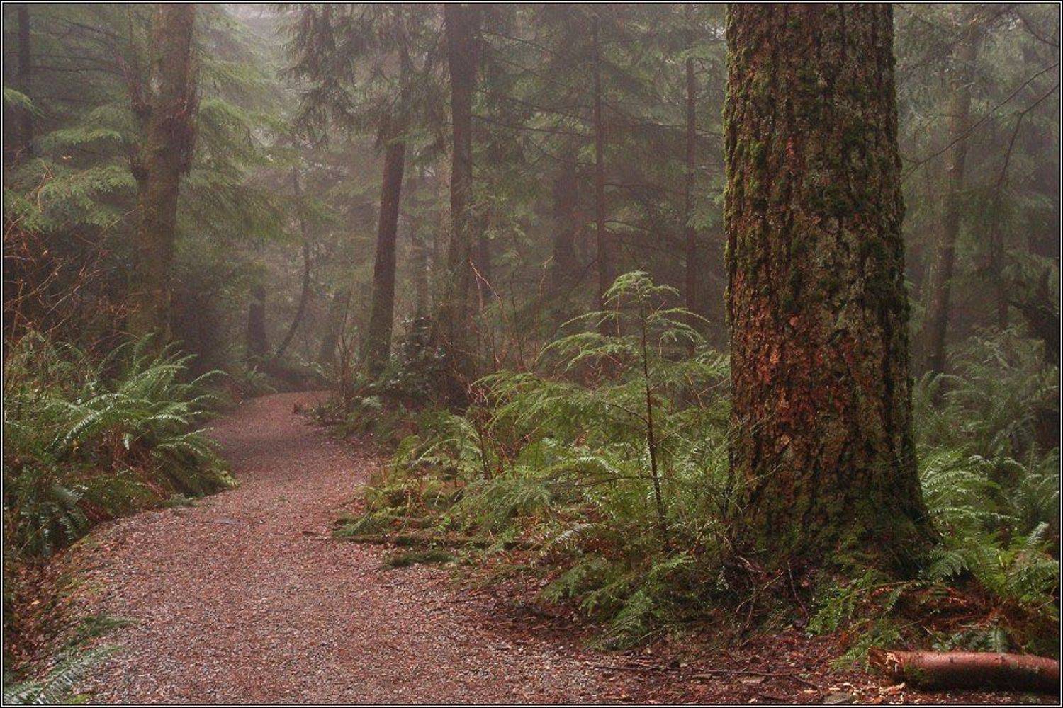 , Alexandre Michourovskii