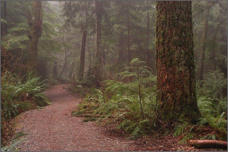 Дорога к Берендеюphoto preview